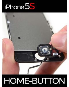 iPhone 5S Home Button Reparatur