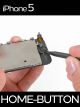 Apple iPhone 5 Homebutton Reparatur