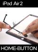 Apple iPad Air 2 Homebutton Reparatur