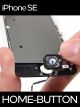 Apple iPhone SE Home Knopf (Homebutton) Reparatur