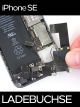 Apple iPhone SE Lightning Connector 